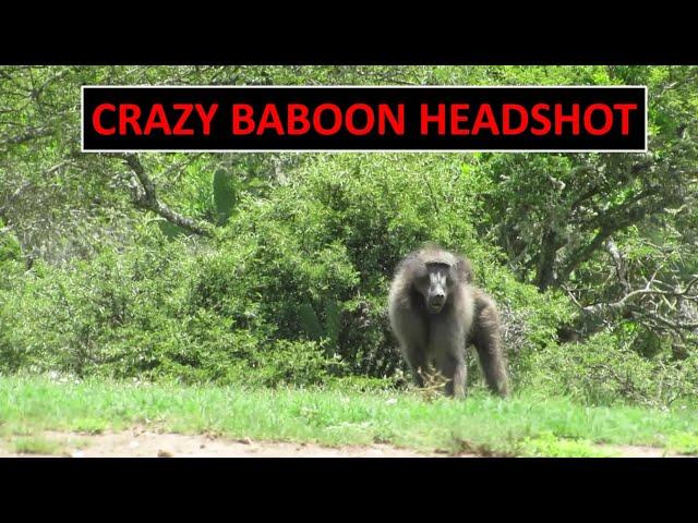 Crazy Baboon Hunting Headshot