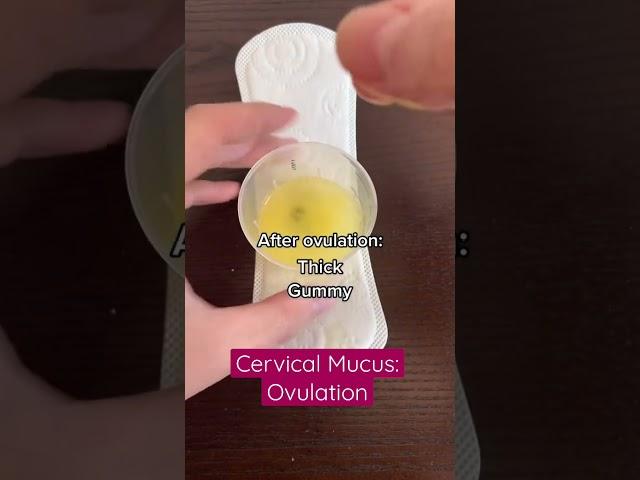 Discharge: Am I normal?! Cervical mucus changes during ovulation #shorts