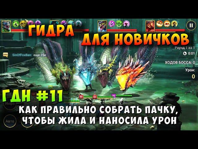 RAID SHADOW LEGENDS, ГИДРА ДЛЯ НОВИЧКОВ, КАК СОБРАТЬ ПАЧКУ, ЧТОБЫ ЖИТЬ И НАБИВАТЬ, ГДН #11