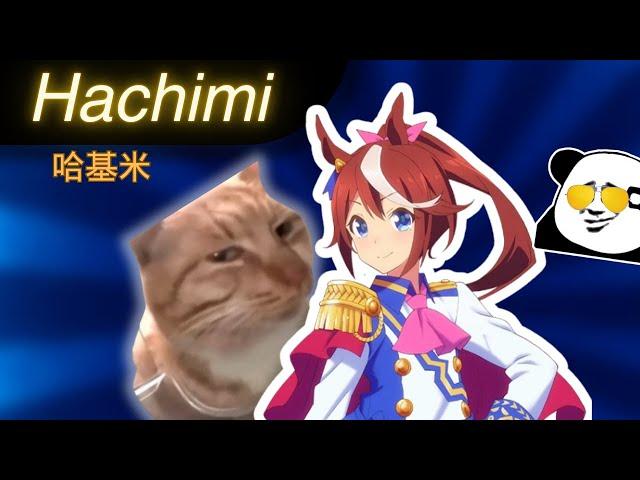 Hachimi/哈基米 --- MAJOR Chinese Memes Explained