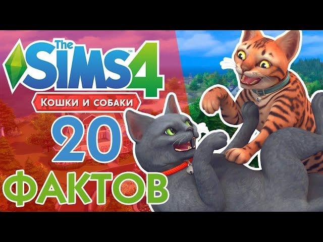 The Sims 4 Кошки и собаки - 20 Фактов!