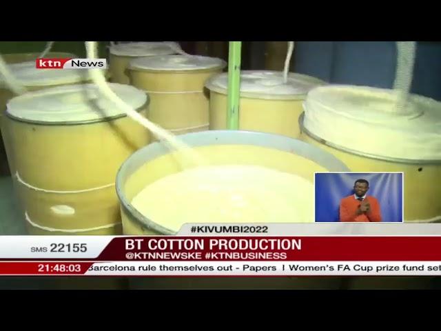 Farmers' earnings double as production of BT Cotton rises