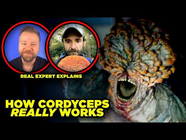 The Last of Us CORDYCEPS Myths DEBUNKED By Real Fungus Expert!