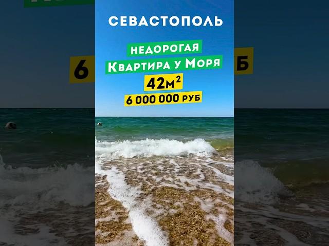Недорогая Квартира у Моря в Севастополе 6 000 000 руб, с. Орловка. Обзоры квартир в Крыму.