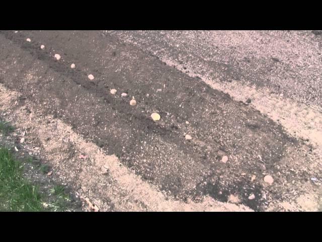 LifeinVT Potato planting Middle buster King Kutter Tiller John Deere 2520