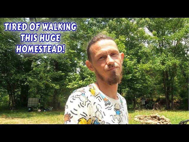 I'M TIRED OF WALKING MY 13 AC OFFGRID HOMESTEAD | couple builds tiny house  homesteading off-grid |