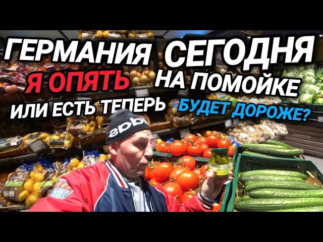 ГЕРМАНИЯ СЕГОДНЯ. ОПЯТЬ НА ПОМОЙКУ. РАБОТА НА ПЛАВУ. ХОЧЕШЬ ЕСТЬ, ПЛАТИ ДЕНЬГИ.