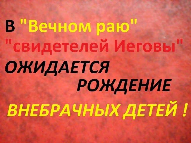 О рождении внебрачных детей в "вечном раю" "свидетелей Иеговы". "Перевод нового мира" открывает ....