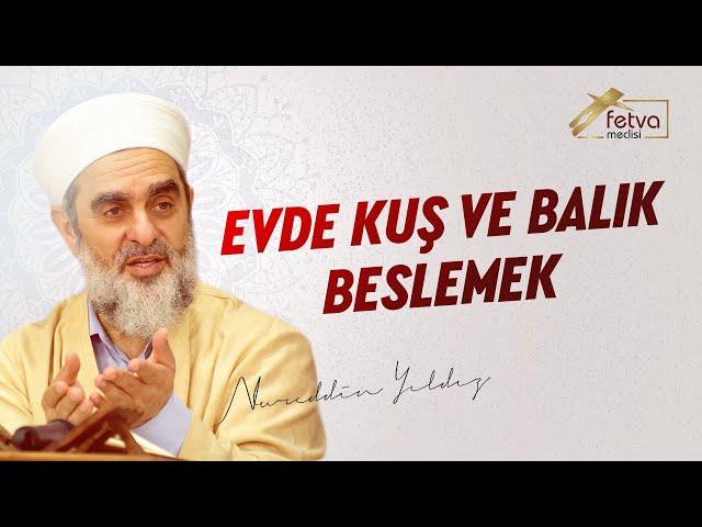 Evde Kuş ve Balık Beslemek - Nureddin Yıldız - fetvameclisi.com