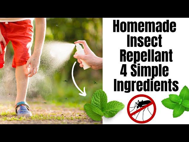 Homemade Insect Repellent || Two Ingredients Directly From Your Garden || No Chemicals And Safe!