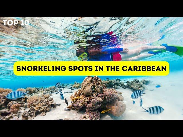 The Top 10 Best Snorkeling Spots in the Caribbean