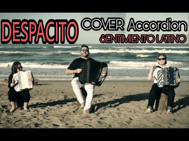 Despacito | cover Accordion/Violin - Gianluca Pica Feat: E. Viti, C. Celletti, A. Russo