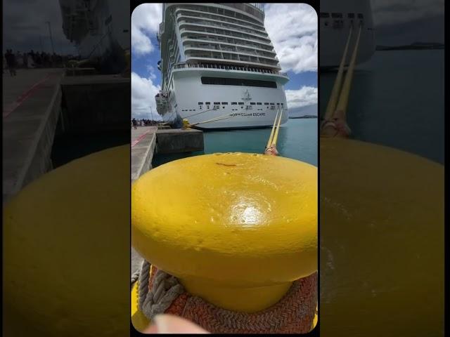 THE CRUISE LIFE in 15 Seconds #shorts #shortsvideo #shortsfeed #cruiselife #cruise #cruiseship