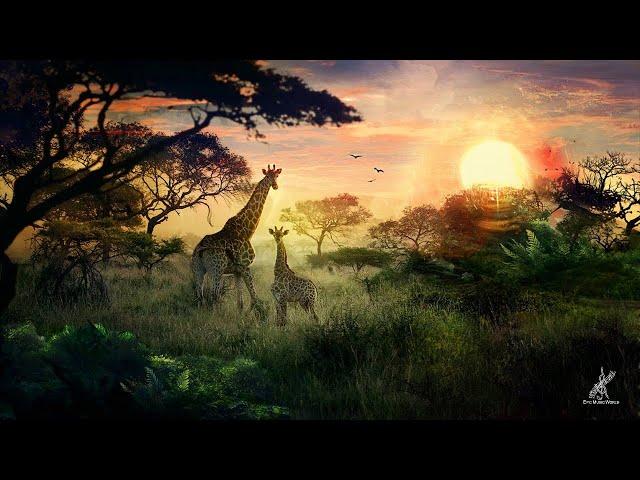 UNSPOKEN DOCUMENTARY ADDENDUM | THE AFRICAN ORIGINS OF THE BIBLE | PART 1