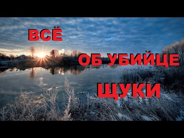 Гости с СЕВЕРА рассказали, ВСЕ ОБ "УБИЙЦЕ" ЩУКИ! SeMano TV