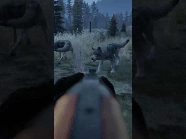  A pack of wolves vs a BK-18 #DayZ