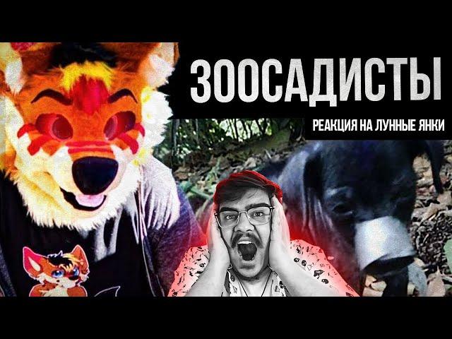 ▷ ФУРРИ-САДИСТЫ (Kero the Wolf/Zoosadist Evidence) l РЕАКЦИЯ на Лунные Янки