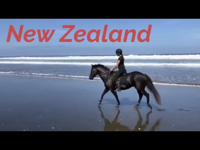 Feel Like You're There With Horse Riding in New Zealand!