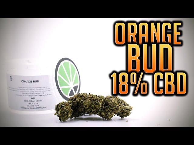 ORANGE BUD 18% CBD | JustBob