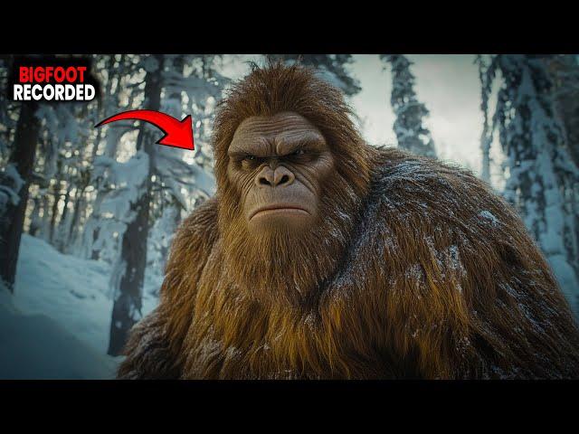7 Times Bigfoot Was Spotted And Recorded