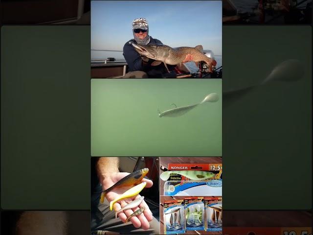 Jezioro i Flat Shad w akcji #konger #fishing #wędkarstwo