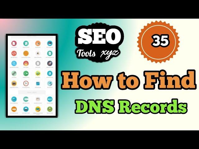 How to find DNS Records | SEO Tools XYZ