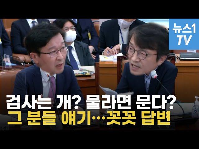 국감의 샛별? 검사의 소신?...송경호 중앙지검장 법사위 답변