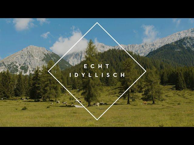 Echt idyllisch: Sound of Seefeld | Almsommer in Tirol | Entspannung & Naturgeräusche (1 Stunde)