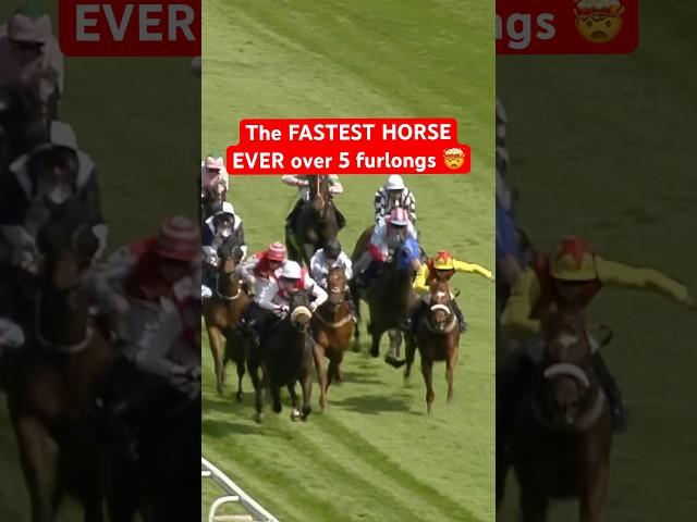 THE FASTEST HORSE EVER OVER FIVE FURLONGS  #horse #epsomdowns #horserace #horseracing