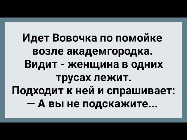 Лучшие Анекдоты про Вовочку! Сборник Свежих Анекдотов! Юмор!