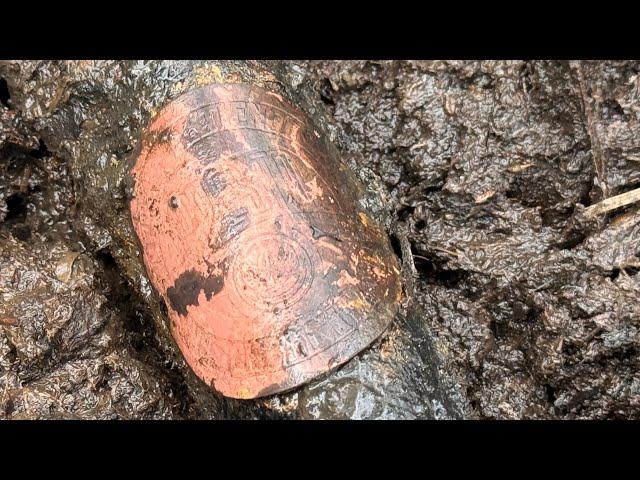 GERMAN BIKE IN A SWAMP! EXCAVATIONS! SUBTITLES!