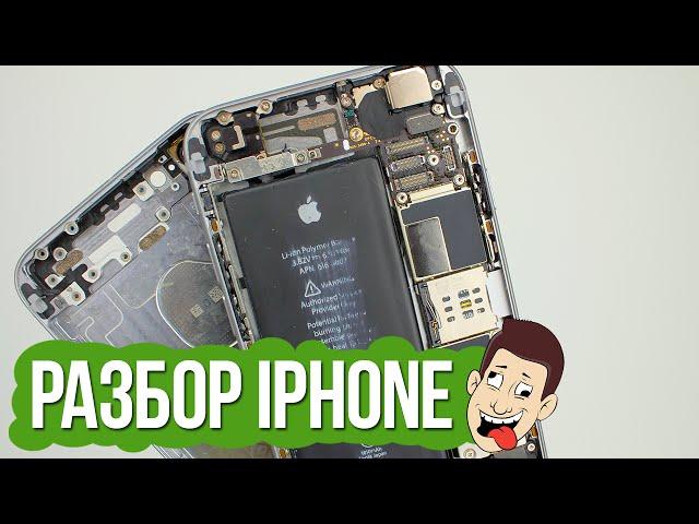 Как поменять корпус на iPhone 6: превращаем айфон 6 в 6S!