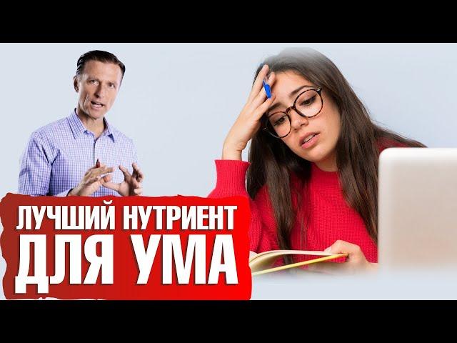 Как улучшить работу мозга? Лучший нутриент для мозга