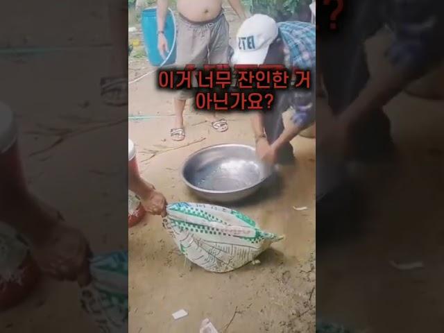 약혐) 학대 장면 내부폭로