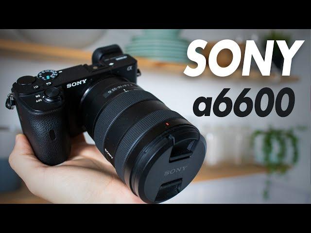 SONY a6600 - ВПЕЧАТЛЕНИЯ, ПЛЮСЫ и МИНУСЫ