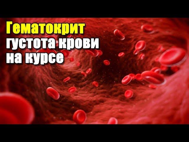 САМАЯ ЧАСТАЯ ПОБОЧКА НА КУРСЕ | ГЕМАТОКРИТ И СЛИВ КРОВИ