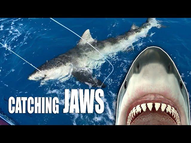 CATCHING JAWS  200 lb BULL SHARK | Gale Force Twins