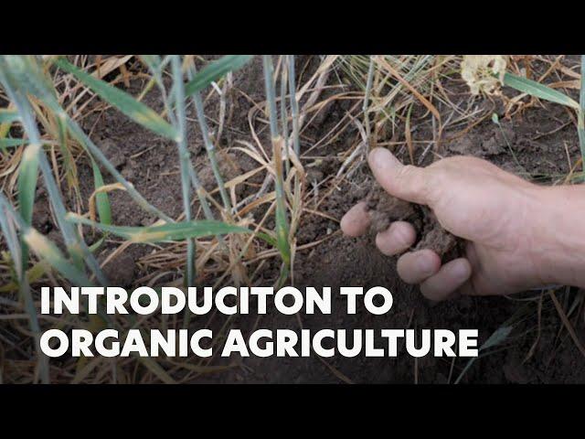 Introduction to Organic Agriculture