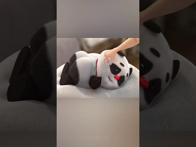 【熊猫班卜】wake up!!! Bamboo!!!#panda #chinese #cute