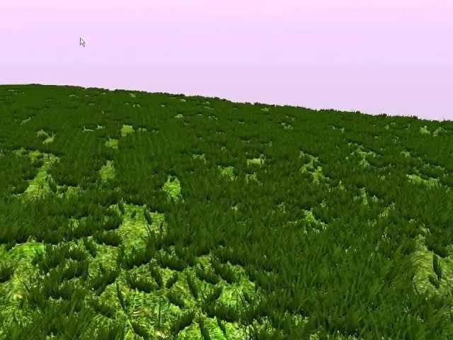 Geometry Shader Grass