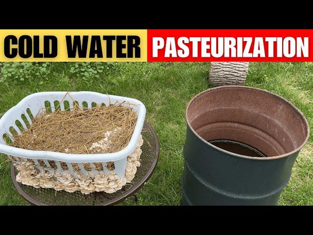 How to Grow Mushrooms out of a Laundry Basket - Cold Water Pasteurization Method