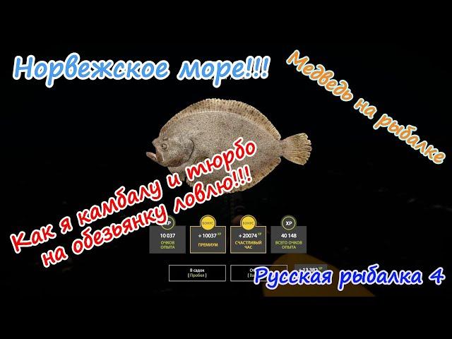 Норвежское море, обезьянка.  #рр4 #норвежскоеморе #русскаярыбалка4 #медведьнарыбалке