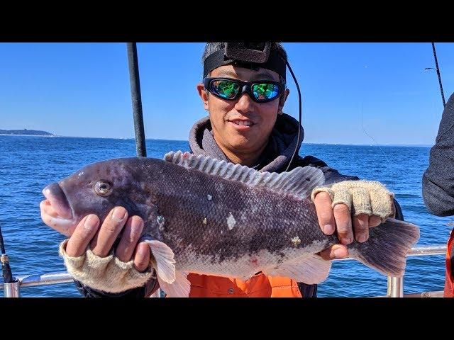 Blackfish (Tautog) Fishing - How To Feel the Bite in Rough Seas??