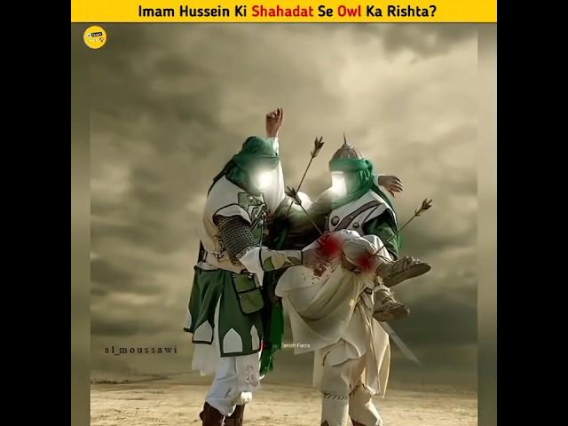 Relation between owl and Imam Hussain's martyrdom #facts #youtubeshorts #shorts
