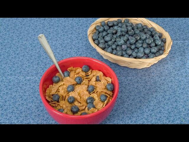 Barbara King 1-Piece Blueberry Ka Bluey Live Plant on QVC