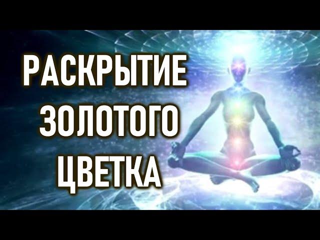 Принципы Света: Как раскрывается Золотой Цветок | ОШО