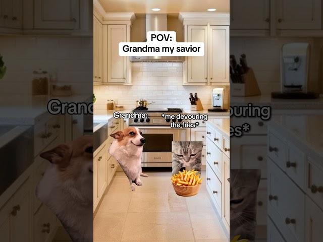 CAT MEMES Grandma my savior #catmemes #relatable #relationship