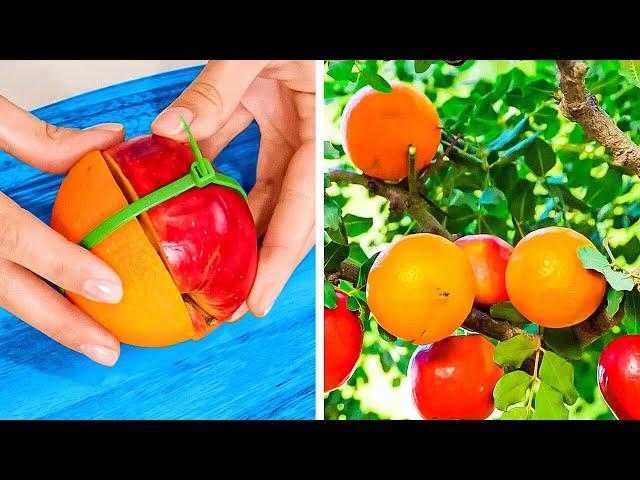 How to Grow Your Dream Garden || Gardening Hacks, Plant Care