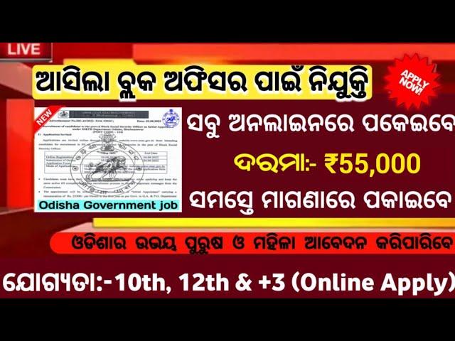 Odisha Block Officer Recruitment 2025 ! Salary 55,000 Per Month ! Odisha Govt Jobs 2025