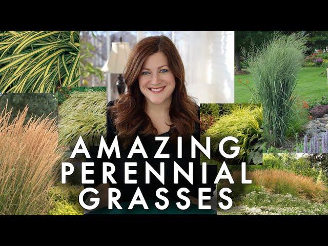 10 Perennial Grasses I Absolutely Love! // Garden Answer